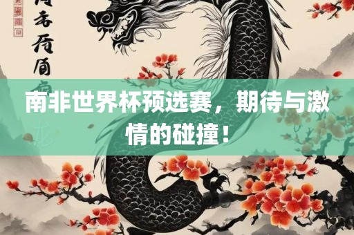 南非世界杯预选赛，期待与激情的碰撞！
