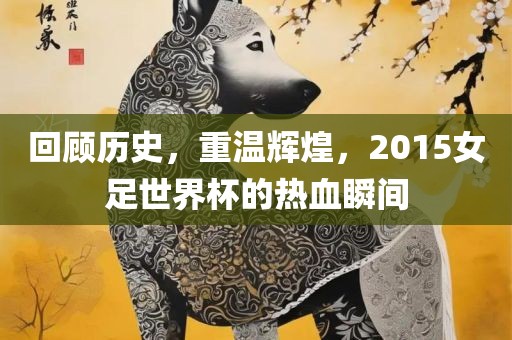 回顾历史，重温辉煌，2015女足世界杯的热血瞬间