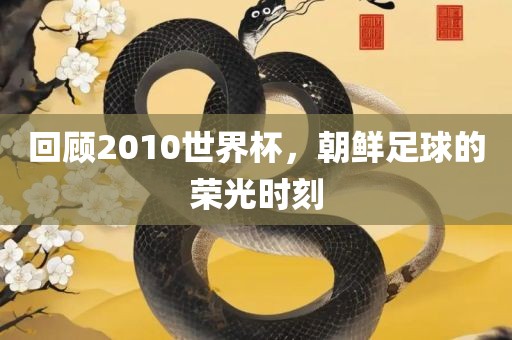 回顾2010世界杯，朝鲜足球的荣光时刻