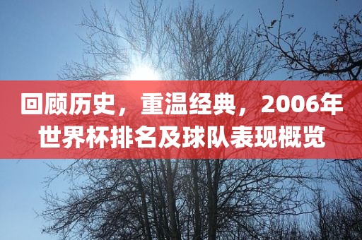 回顾历史，重温经典，2006年世界杯排名及球队表现概览