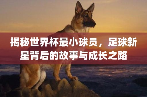 揭秘世界杯最小球员，足球新星背后的故事与成长之路