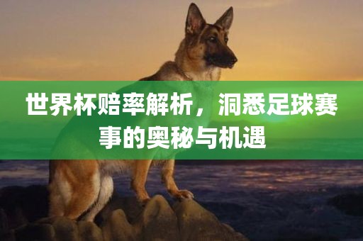 世界杯赔率解析，洞悉足球赛事的奥秘与机遇