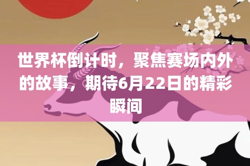 世界杯倒计时，聚焦赛场内外的故事，期待6月22日的精彩瞬间