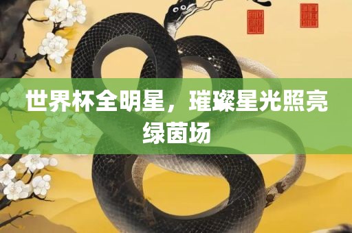 世界漯河市盈旭机械设备有限公司杯全明星，璀璨星光照亮绿茵场
