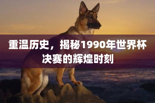 重温历史，揭秘1990年世界杯决赛的辉煌时刻漯河市盈旭机械设备有限公司