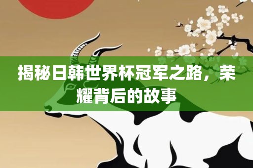 揭秘日韩世界杯冠军之路，荣耀背后的故事漯河市盈旭机械设备有限公司