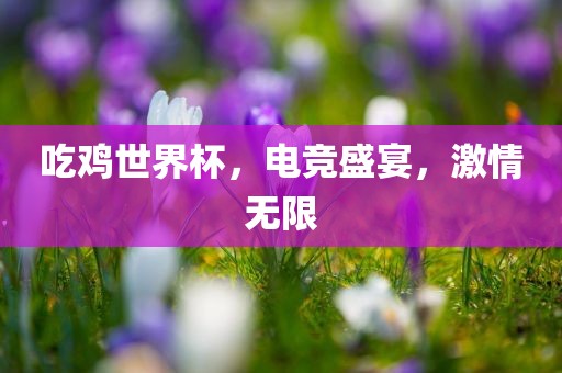 吃鸡世界杯，电竞盛宴，激情无限