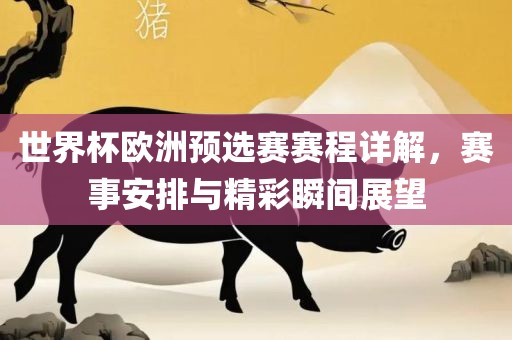 世界杯欧洲预选赛赛程详解，赛事安排与精彩瞬间展望