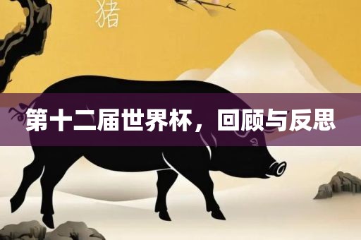 第十二届世界杯，回顾与反思