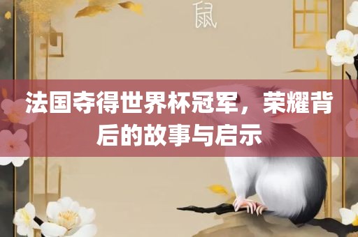 法国夺得世界杯冠军，荣耀背后的故事与启示