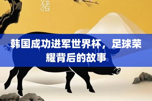 韩国成功进军世界杯，足球荣耀背后的故事