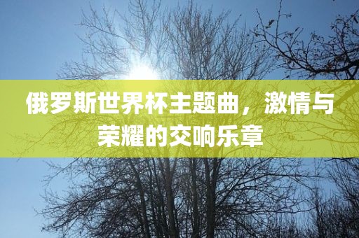 俄罗斯世界杯主题曲，激情与荣耀的交响乐章