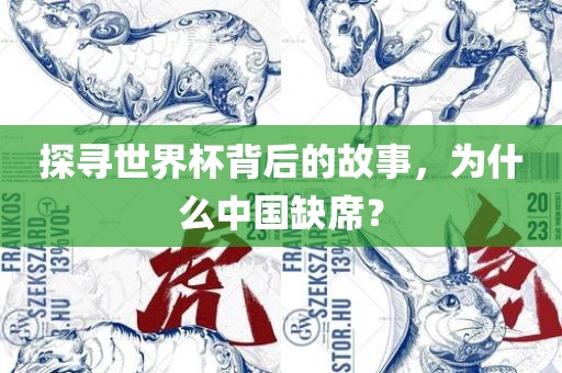 探寻世界杯背后的故事，为什么中国缺席？