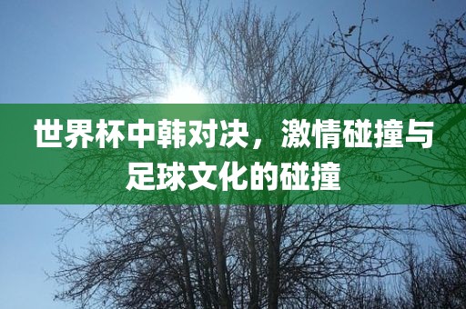 世界杯中韩对决，激情碰撞与足球文化的碰撞