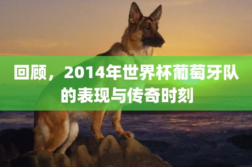 回顾，2014年世界杯葡萄牙队的表现与传奇时刻
