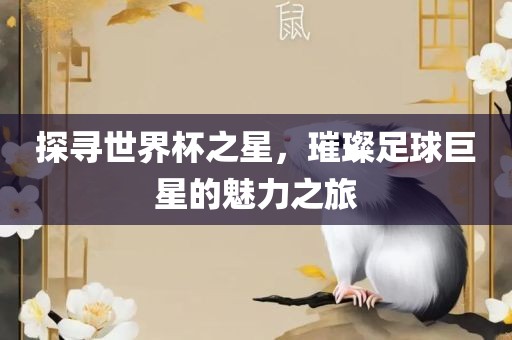 探寻世界杯之星，璀璨足球巨星的魅力之旅漯河市盈旭机械设备有限公司