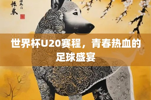 世界杯U20赛程，青春热血的足球盛宴