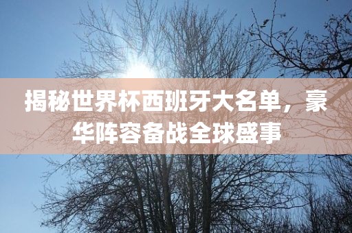 揭秘世界杯西班牙大名单，豪华阵容备战全球盛事