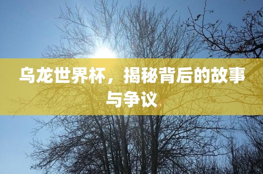 乌龙世界杯，揭秘背后的故事与争议