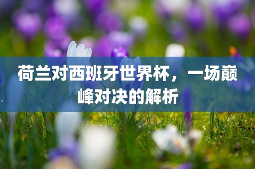荷兰对西班牙世界杯，一场巅峰对决的解析