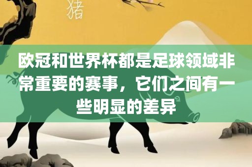欧冠和世界杯都是足球领域非常重要的赛事，它们之间有一些明显的差异