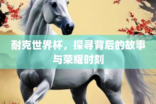 耐克世界杯，探寻背后的故事与荣耀时刻