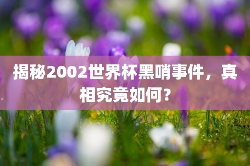 揭秘2002世界杯黑哨事件，真相究竟如何？