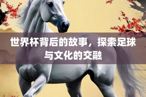 世界杯背后的故事，探索足球与文化的交融漯河市盈旭机械设备有限公司