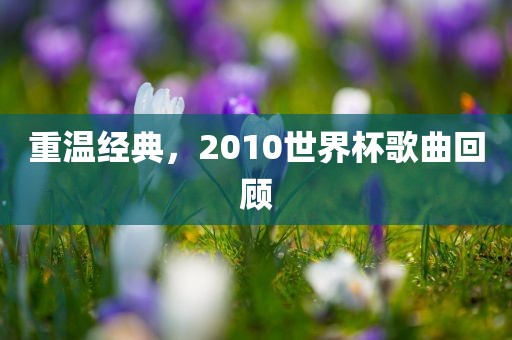 重温经典，2010世界杯歌曲回顾