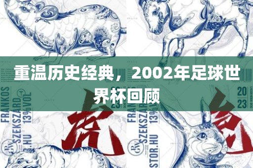 重温历史经典，2002年足球世界杯回顾