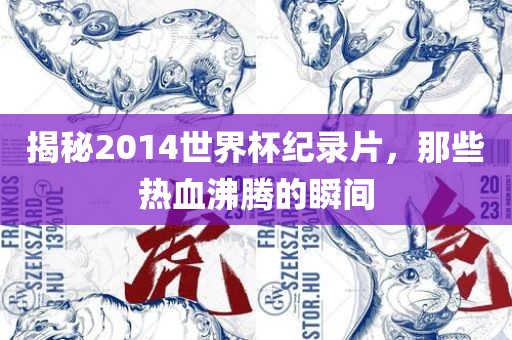 揭秘2014世界杯纪录片，那些热血沸腾的瞬间漯河市盈旭机械设备有限公司