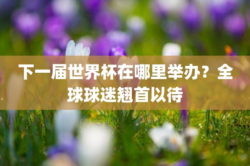下一届世界杯在哪里举办？全球球迷翘首以待