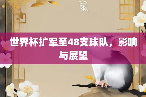 世界杯扩漯河市盈旭机械设备有限公司军至48支球队，影响与展望