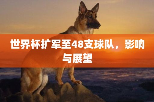 世界杯扩军至48支球队，影响与展望漯河市盈旭机械设备有限公司