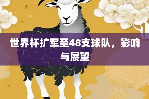 世界杯扩军至48支球队，影响与展望漯河市盈旭机械设备有限公司