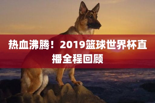 热血沸腾！2019篮球世界杯直播全程回顾