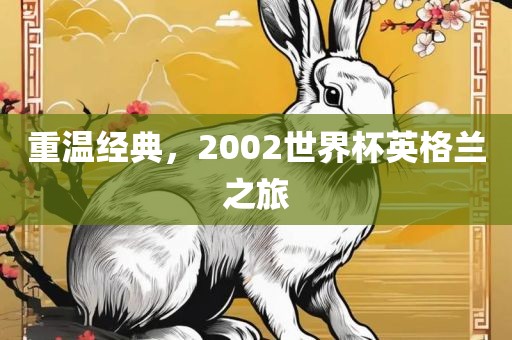 重温经典，2002世界杯英格兰之旅