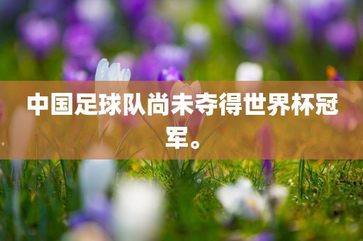 中国足球队
