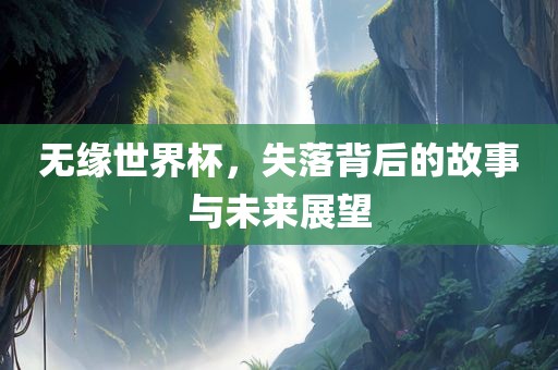 无缘世界杯，失落背后的故事与未来展望