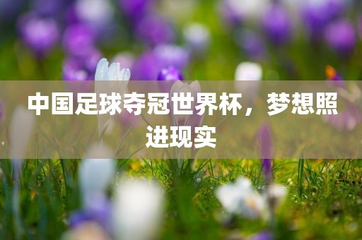 中国足球夺冠世界杯，梦想照进现实漯河市盈旭机械设备有限公司