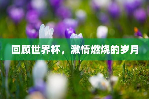 回顾世界杯，激情燃烧的岁月漯河市盈旭机械设备有限公司