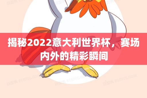 揭秘2022意大利世界杯，赛场内外的精彩瞬间