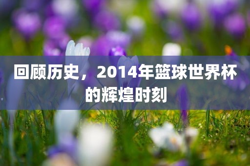 回顾历史，2014年篮球世界杯的辉煌时刻
