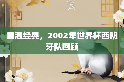 重温经典，2002年世界杯西班牙队回顾漯河市盈旭机械设备有限公司
