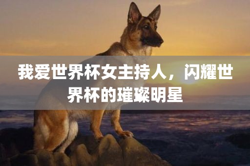 我爱世界杯女主持人，闪耀世界杯的璀璨明星