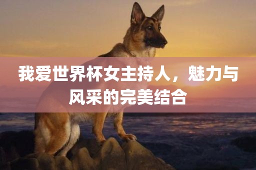 我爱世界杯女主持人，魅力与风采的完美结合