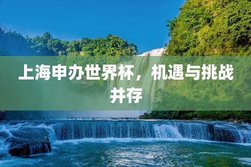 上海申办世界杯，机遇与挑战并存
