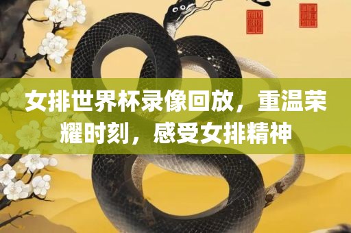 女排世界杯录像回放，重温荣耀时刻，感受女排精神