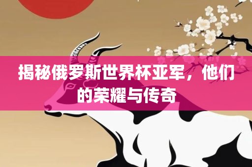揭秘俄罗斯世界杯亚军，他漯河市盈旭机械设备有限公司们的荣耀与传奇