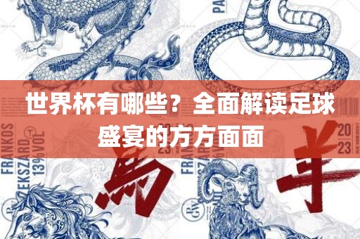 世界杯有哪些？全面解读足球盛宴的方方面面